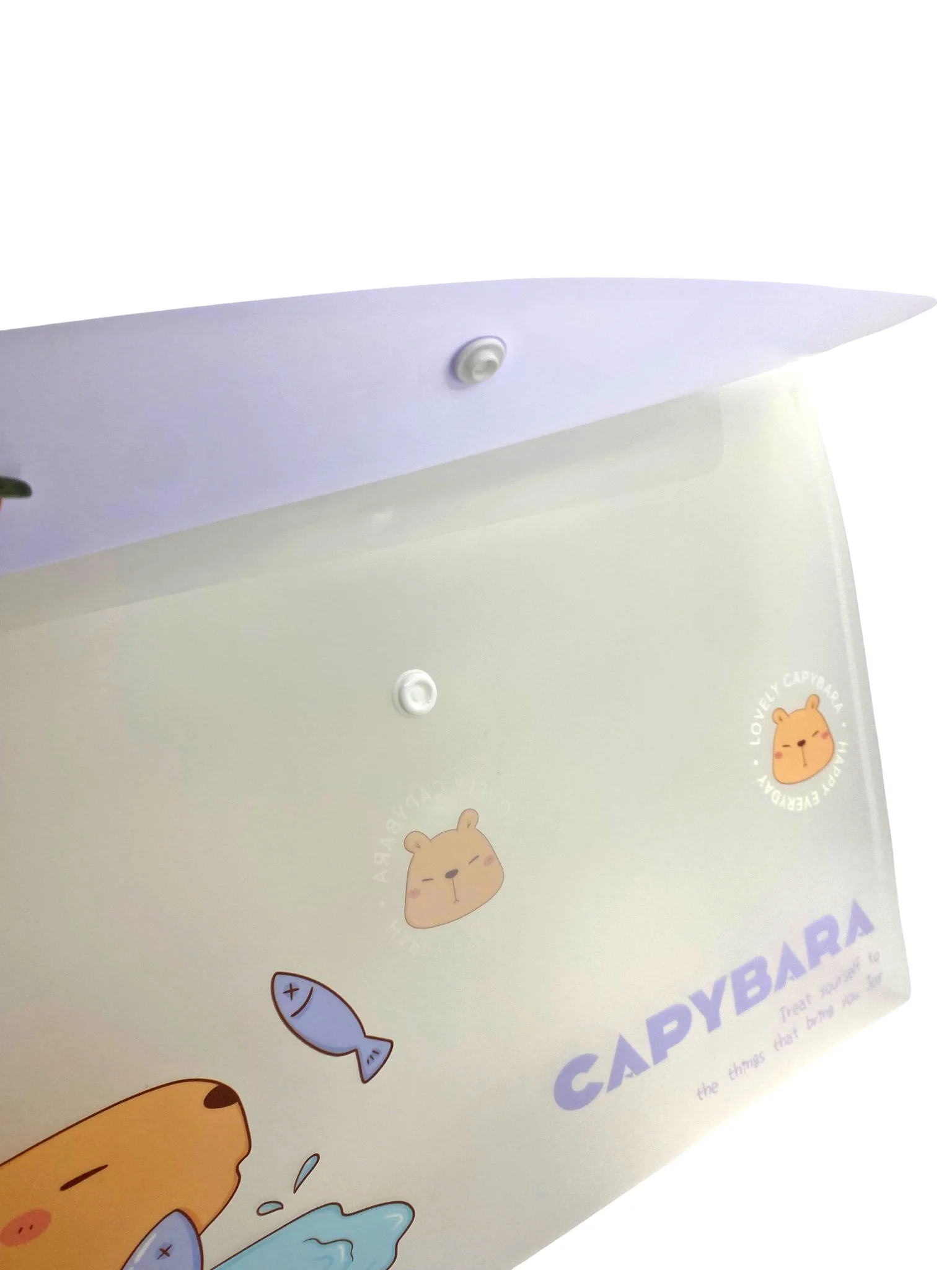 Capybara Mor Çıt Çıtlı Zarf Dosya - 1 Adet