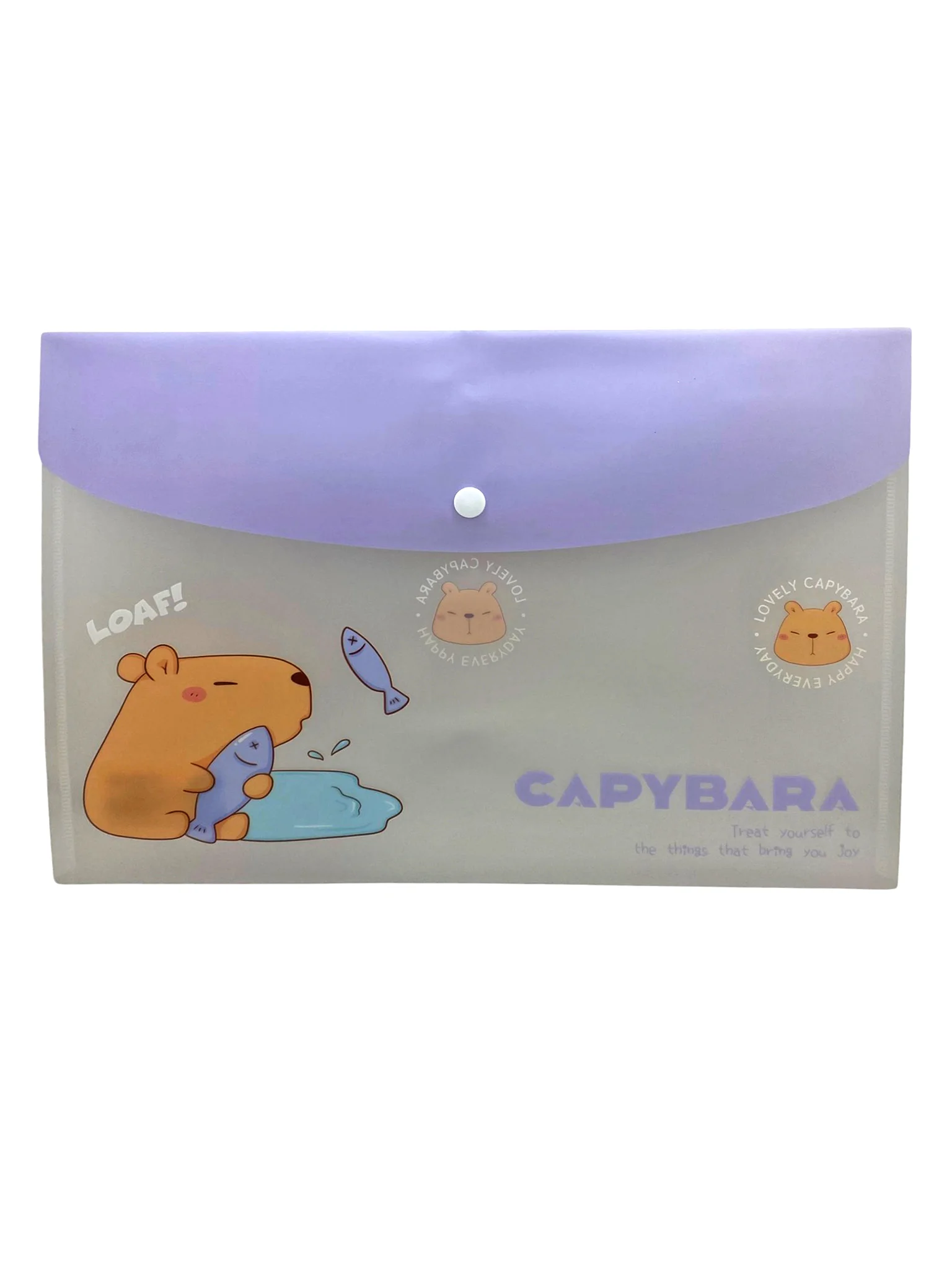 Capybara Mor Çıt Çıtlı Zarf Dosya - 1 Adet