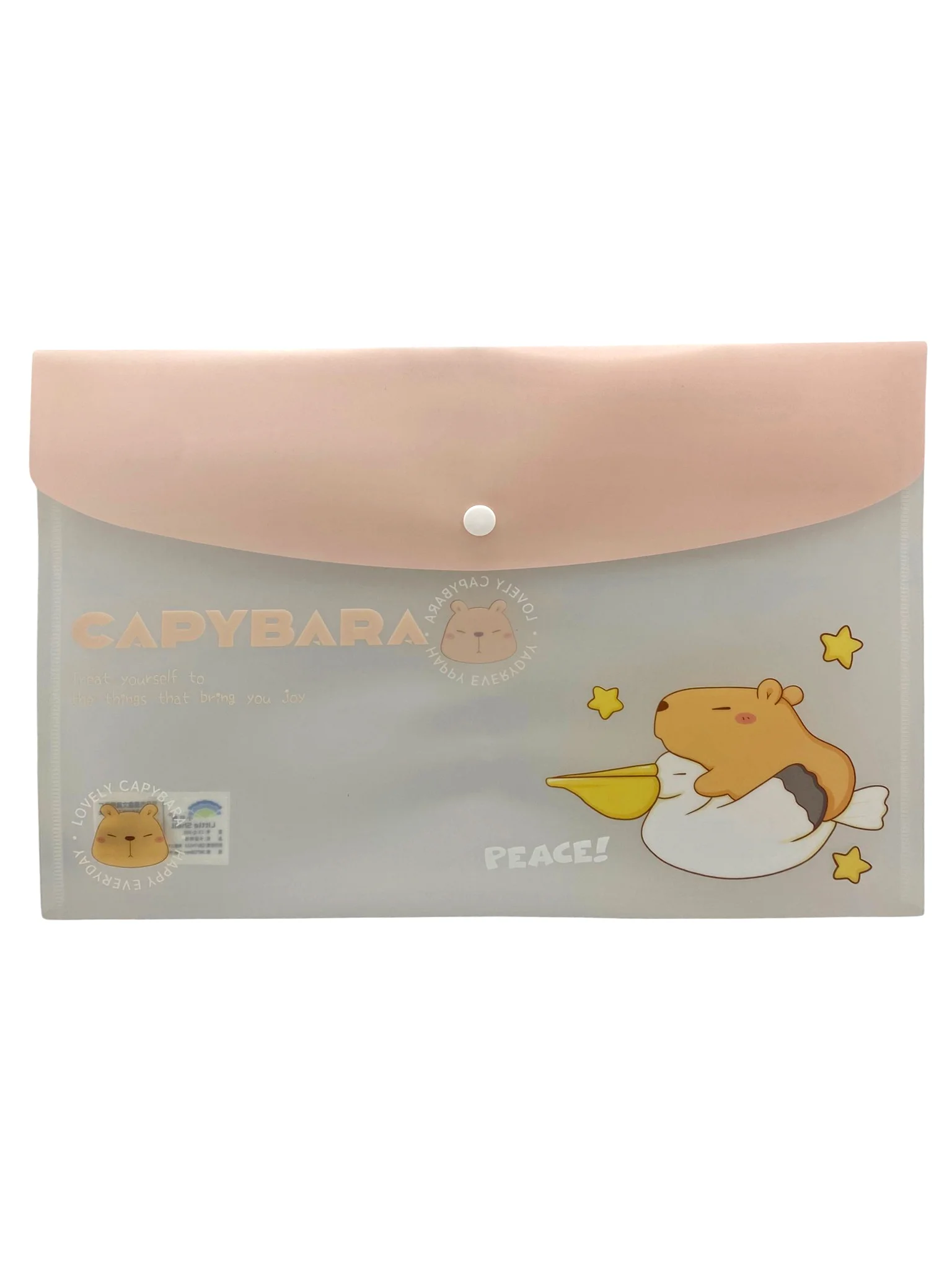 Capybara Pembe Çıt Çıtlı Zarf Dosya - 1 Adet