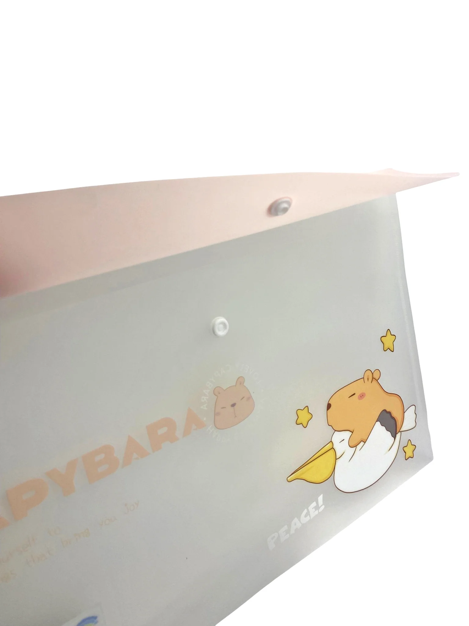 Capybara Pembe Çıt Çıtlı Zarf Dosya - 1 Adet