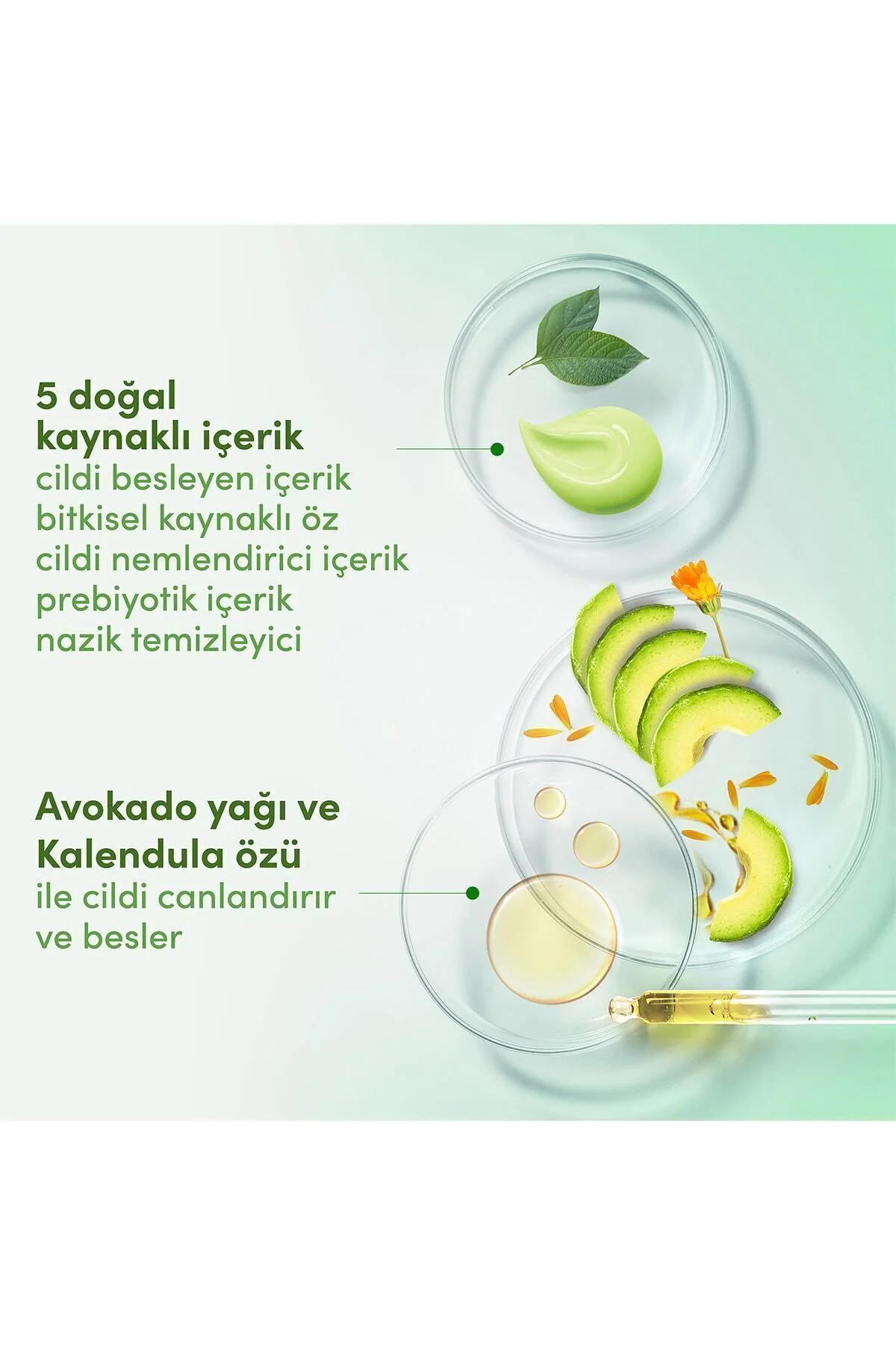 Care By Nature Nemlendirici Duş Jeli Avokado Yağı Ve Kalendula Özü Canlandırıcı 500 ml