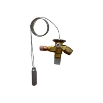 Castel 2230/4S R-404A İç Denge Kaynaklı Expansion Valf