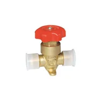 Castel 6210/4 1/2'' Rakorlu Ara Vana