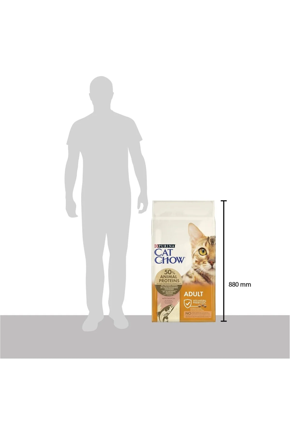 Cat Chow Somonlu Kuru Kedi Maması 15Kg
