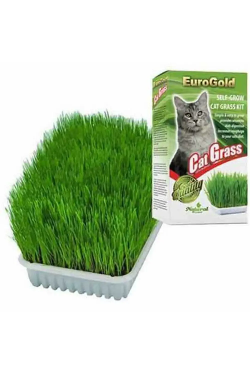Cat Grass Kedi Çimi - Petshopundan