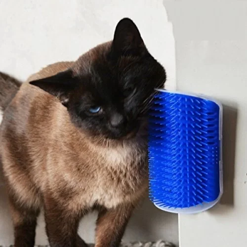 Cat It Kedi Kaşınma Aparatı Fiyatı, Yorumları ve Özellikleri