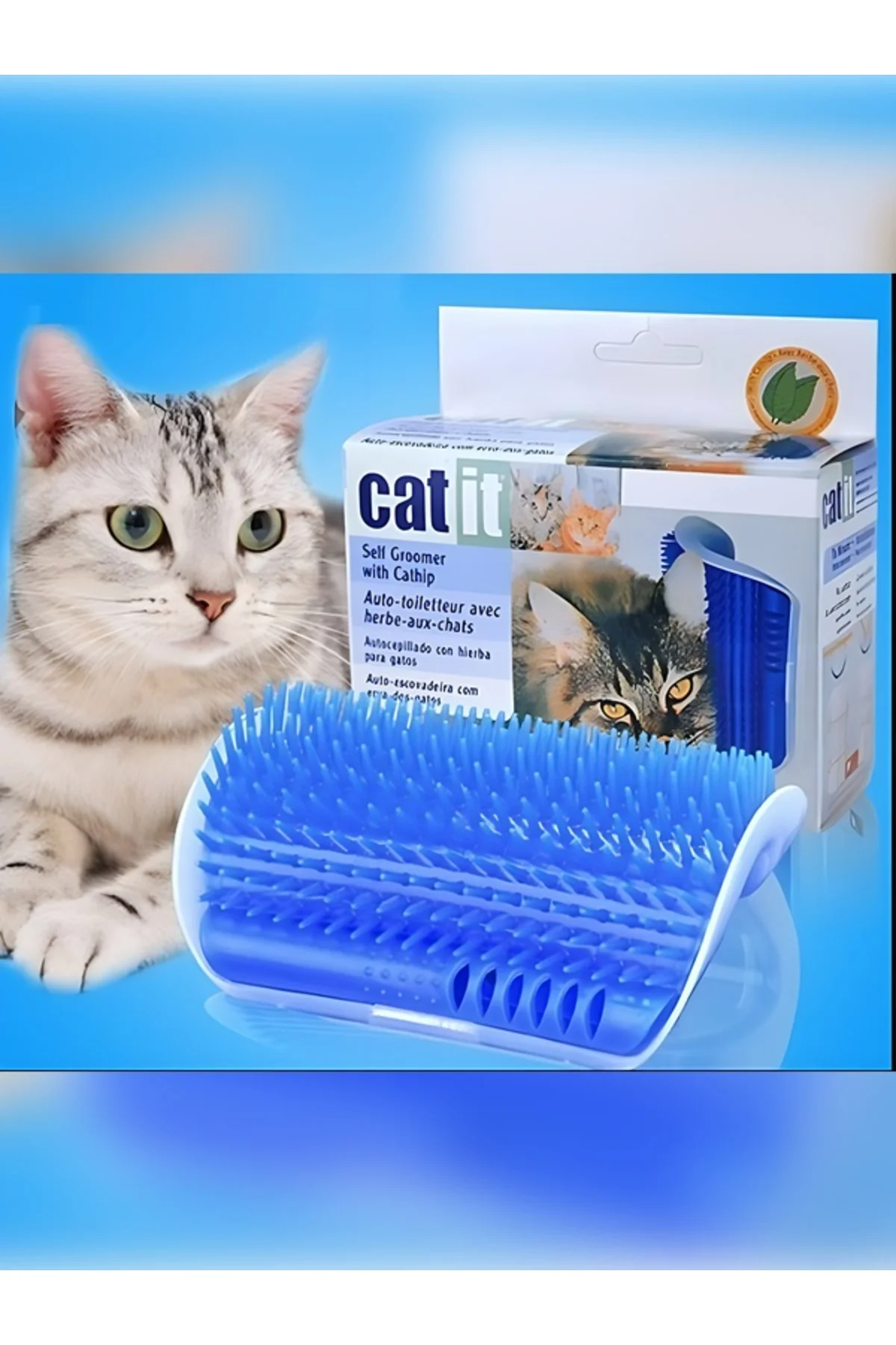 Cat İt Kedi Kaşınma Aparatı Mavi Köşe Kaşınma Aparatı