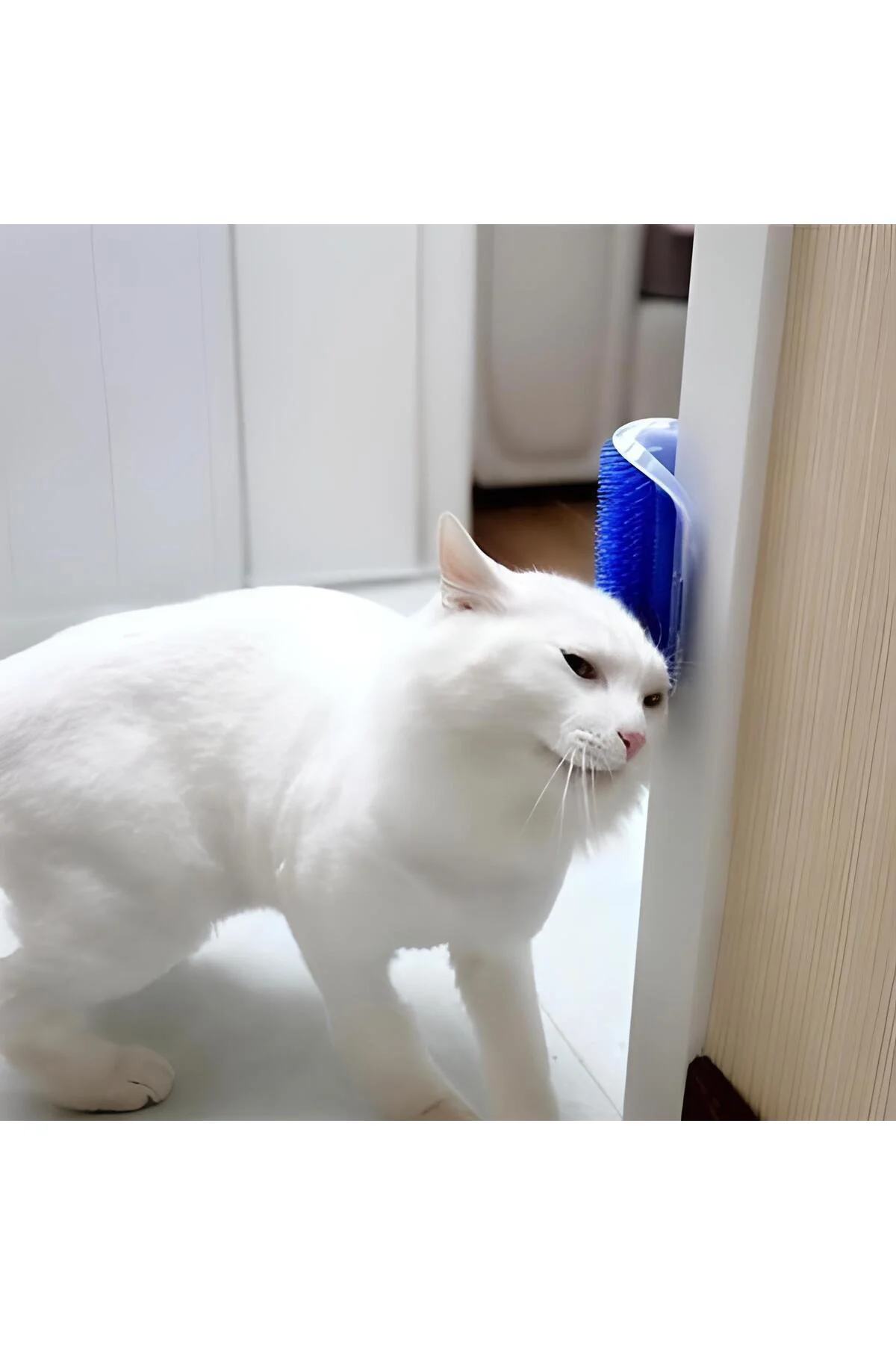 Cat It Pratik Kedi Tüyü Kaşıma Ve Tarama Aparatı Duvara Monte Kaş