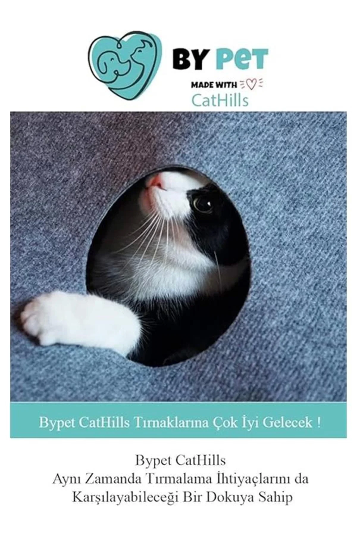 CatHills İnteraktif Kedi Tepeleri Oyun Alanı ve Saklanma Tüneli