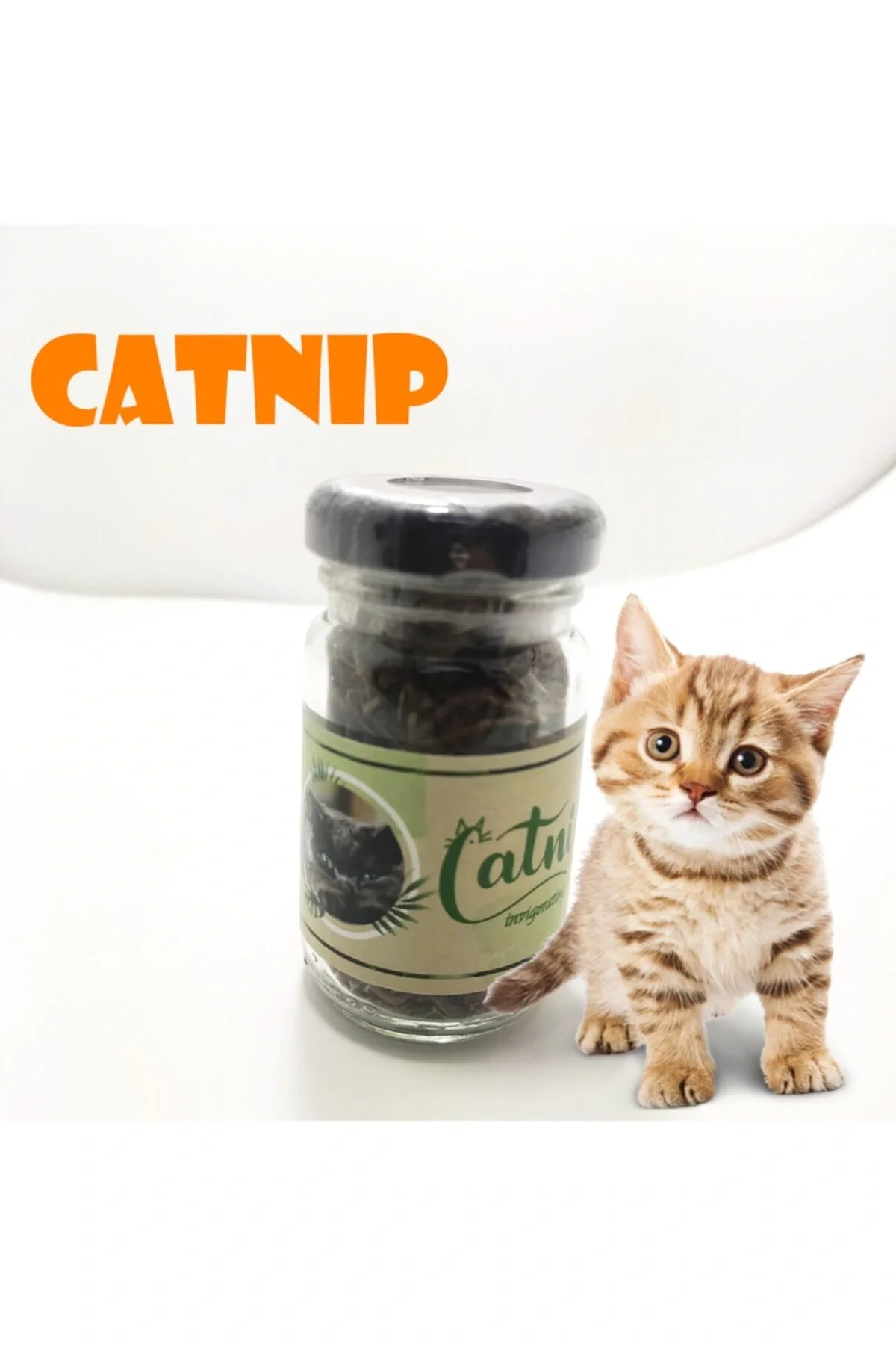 Catnip Doğal Kedi Otu - Kedi Nanesi Catnip Doğal Kedi Otu - Kedi Nanesi