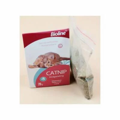 Catnip Kedi Otu 20 Gr - Etkili ve Doğal Kedi Oyuncağı Fiyatı, Yorumları ve Özellikleri