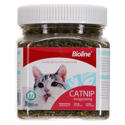 Catnip Kedi Otu 20 Gr - Etkili ve Doğal Kedi Oyuncağı Fiyatı, Yorumları ve Özellikleri