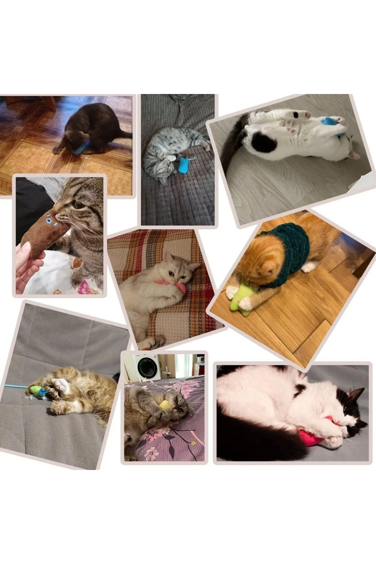 Catnip Kedi Oyuncağı Mavi – Sesli Peluş Kedi Oyuncak, Isırınca Se
