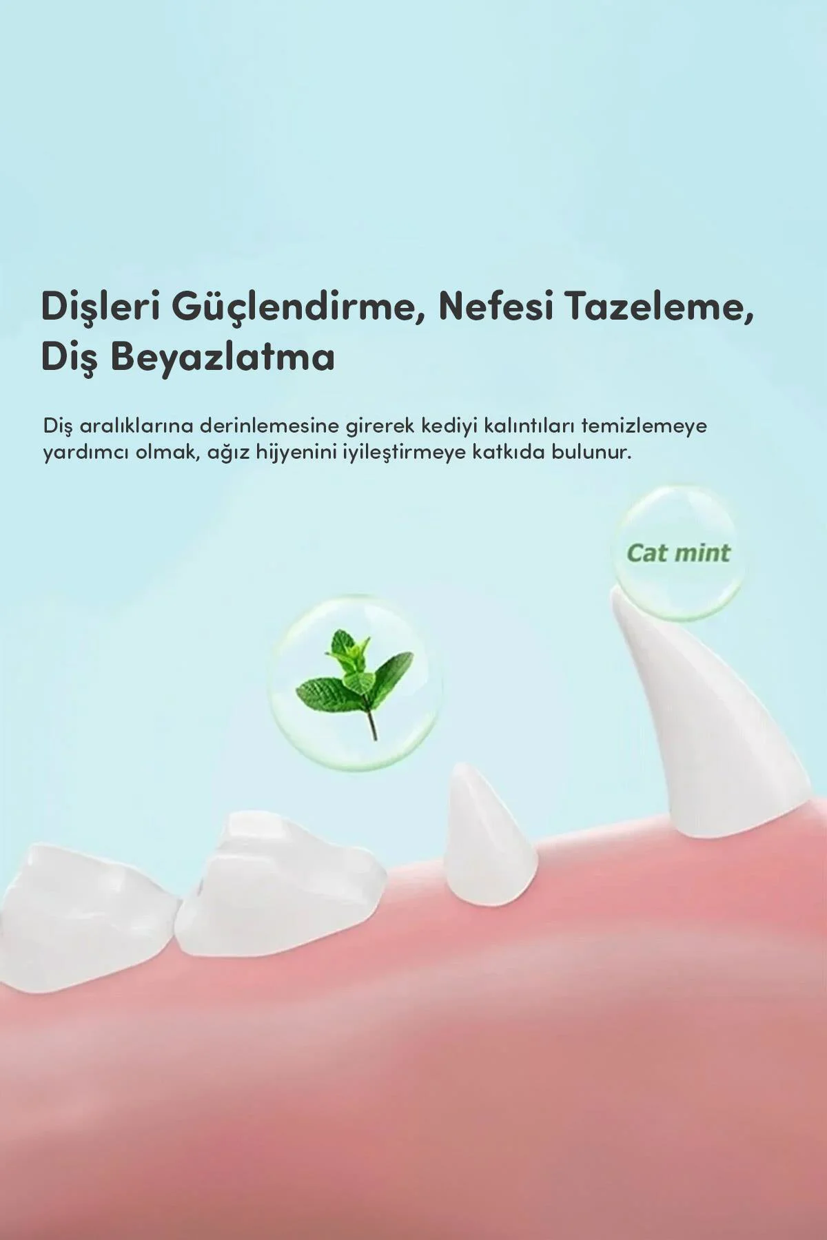 Catnipli Yenilebilir Kedi Nanesi Otu Oyun Topu Oyuncağı Top Oyunc