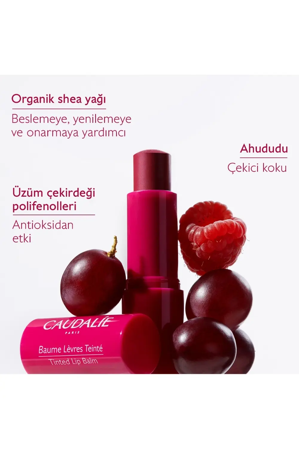 Caudalie Tinted Lip Balm 4.5 gr