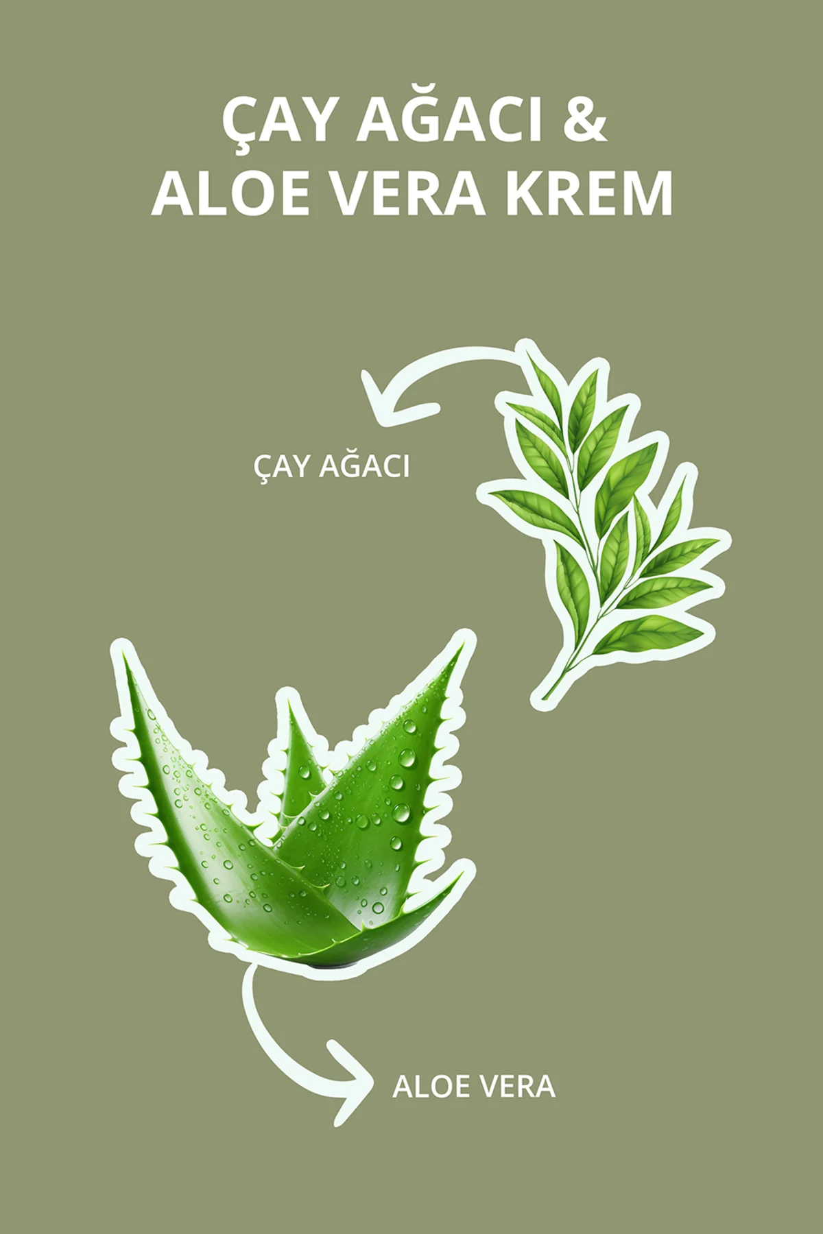 Çay Ağacı Ve Aloe Vera Bakım Kremi 140 ml