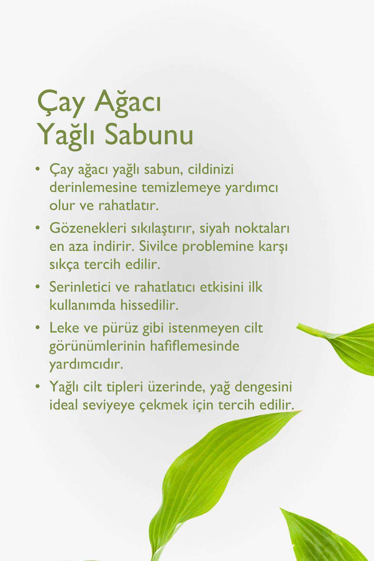 Baga Çay Ağaci Yağli Sabun 125Gr