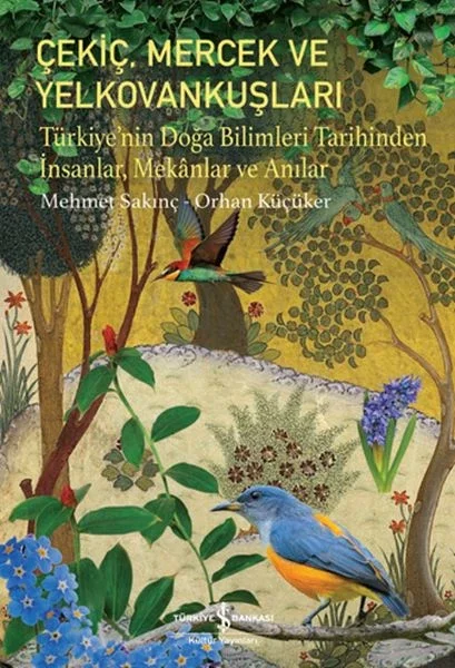 Çekiç, Mercek ve Yelkovankuşları Fiyatı, Yorumları ve Özellikleri
