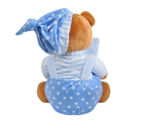 Çerçeveli Ayı 25 cm Mavi Pelüş Ayı Çocuk Oyuncak