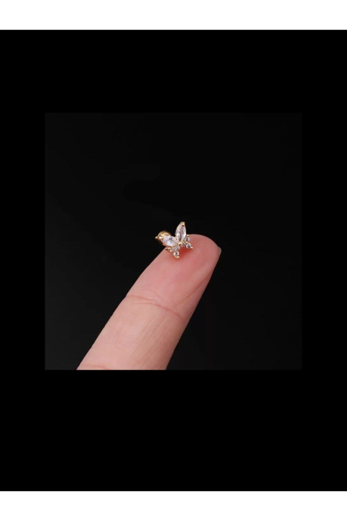Cerrahi Çelik Gold Renk Kelebek Tragus,Kıkırdak Piercingi