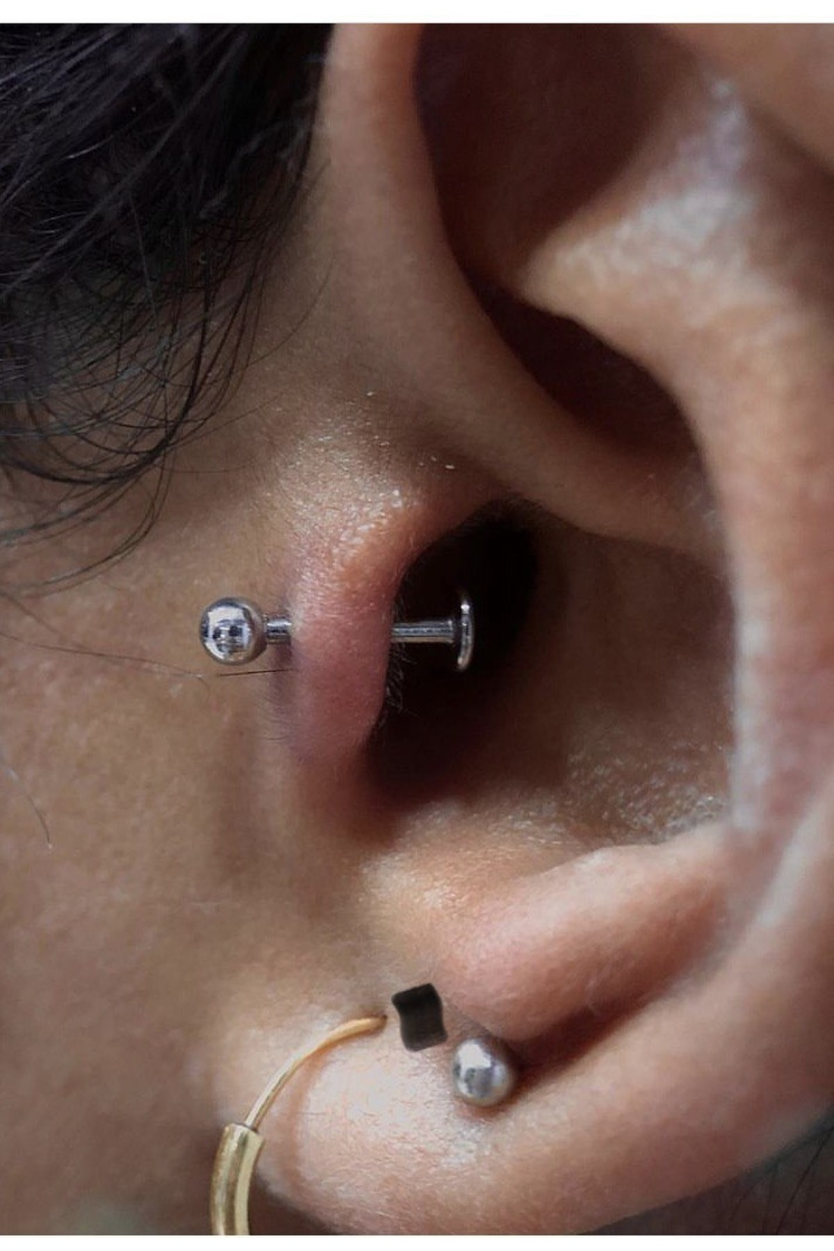 Cerrahi Çelik Labret Tek Toplu Çene,tragus,kıkırdak Piercingi