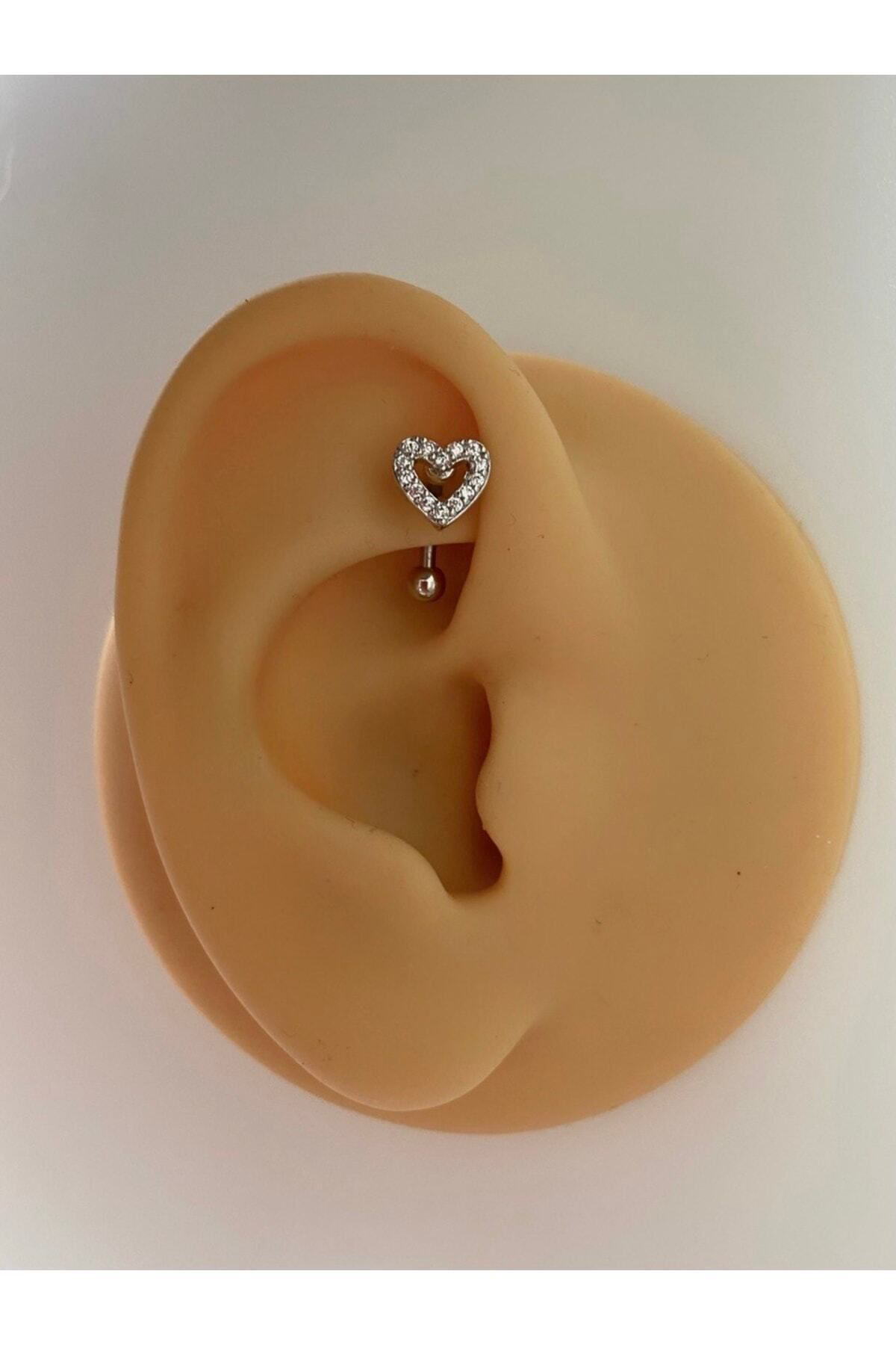 Cerrahi Çelik Rook,kaş,snug Uyumlu Piercing