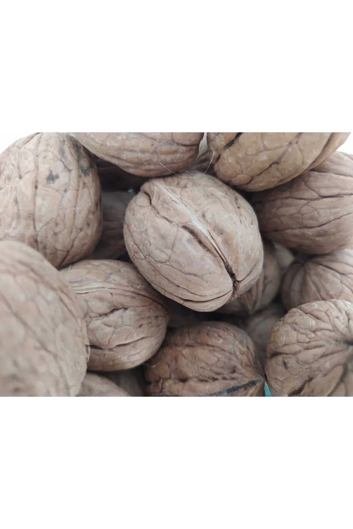 Ceviz 12221 Ince Kabuk Kolay Kırılır Chandler Kendi bahçemizden Doğal Üretim 3Kg Ceviz 12221 Ince Kabuk Kolay Kırılır Chandler Kendi bahçemizden Doğal Üretim 3Kg - Görsel 4