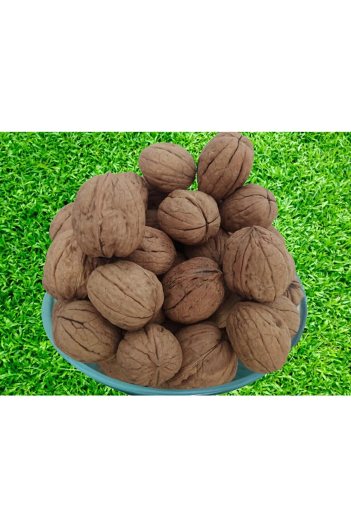 Ceviz 12222 Ince Kabuk Kolay Kırılır Chandler Kendi bahçemizden Doğal Üretim 5 Kg Ceviz 12222 Ince Kabuk Kolay Kırılır Chandler Kendi bahçemizden Doğal Üretim 5 Kg - Görsel 3