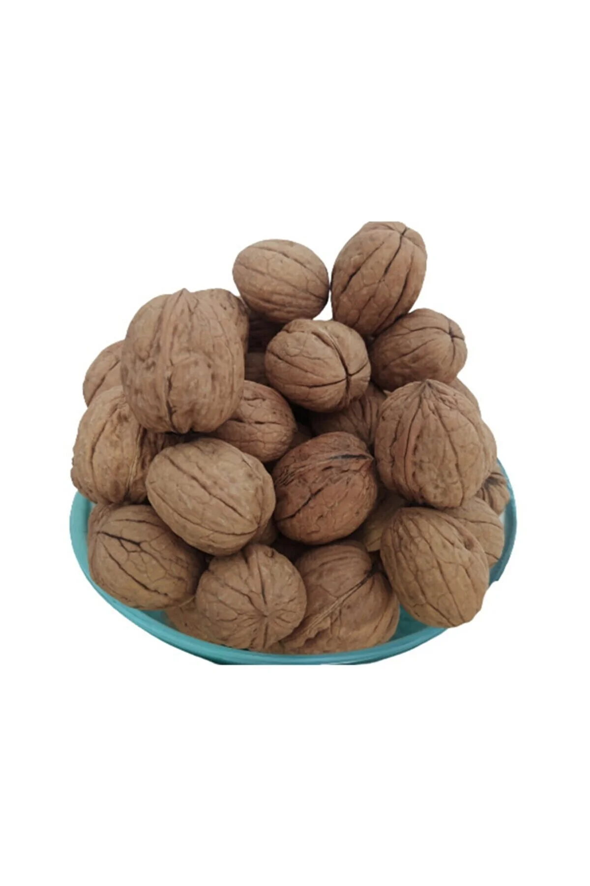 Ceviz 12223 Ince Kabuk Kolay Kırılır Chandler Kendi bahçemizden Doğal Üretim 10Kg Ceviz 12223 Ince Kabuk Kolay Kırılır Chandler Kendi bahçemizden Doğal Üretim 10Kg - Görsel 5