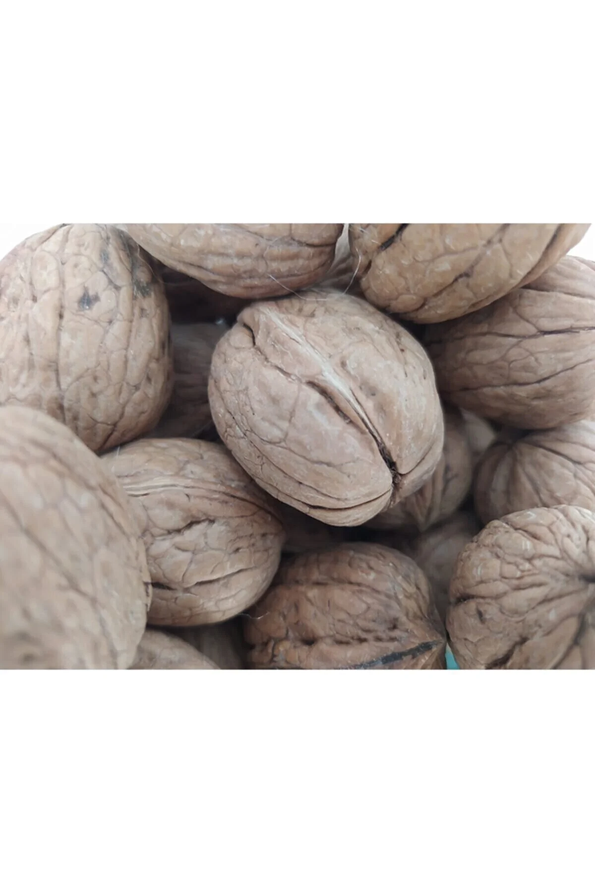 Ceviz 12223 Ince Kabuk Kolay Kırılır Chandler Kendi bahçemizden Doğal Üretim 10Kg Ceviz 12223 Ince Kabuk Kolay Kırılır Chandler Kendi bahçemizden Doğal Üretim 10Kg - Görsel 4