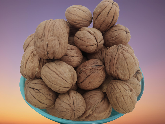 Ceviz 17332 Bahçemizden Ince Kabuk Kolayca Kırılır Chandler Doğal Ceviz 17332 Bahçemizden Ince Kabuk Kolayca Kırılır Chandler Doğal