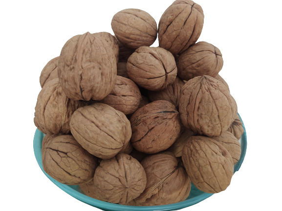 Ceviz 17333 Bahçemizden İnce Kabuklu Kolayca kırılır Chandler Doğ