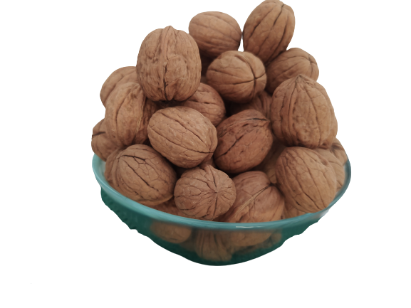 Ceviz 17333 Bahçemizden İnce Kabuklu Kolayca kırılır Chandler Doğ