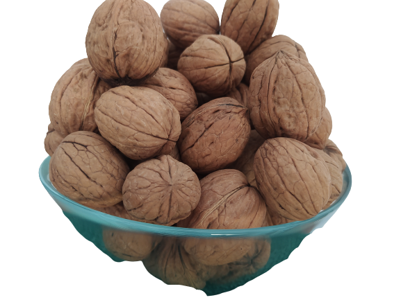 Ceviz 17334 Bahçemizden Ince Kabuklu Kolayca Kırılır Chandler Doğ Ceviz 17334 Bahçemizden Ince Kabuklu Kolayca Kırılır Chandler Doğ