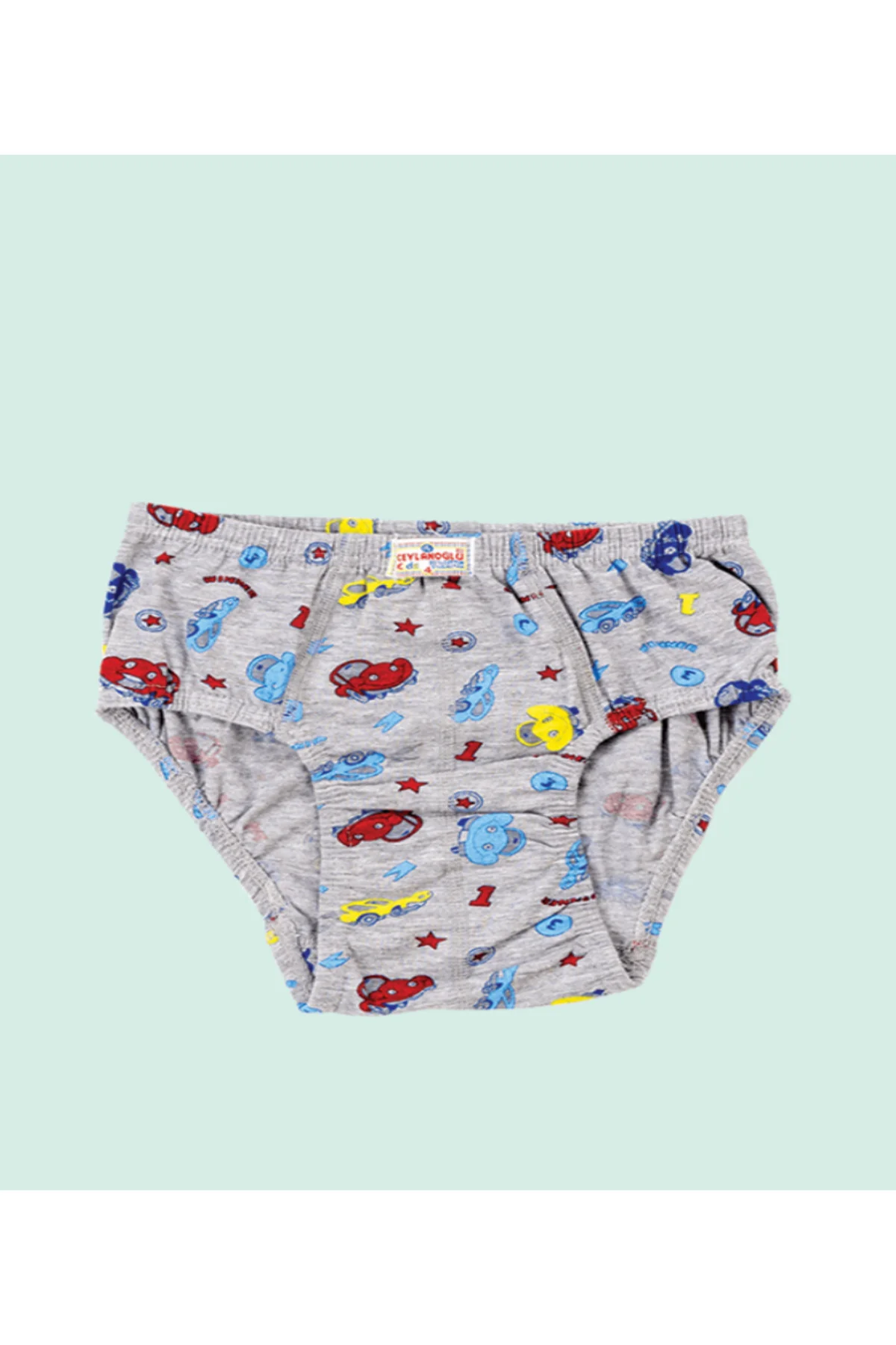 CEYLANOĞLU ERKEK ÇOCUK SLİP KÜLOT 0300 KARIŞIK RENK (12 ADET)