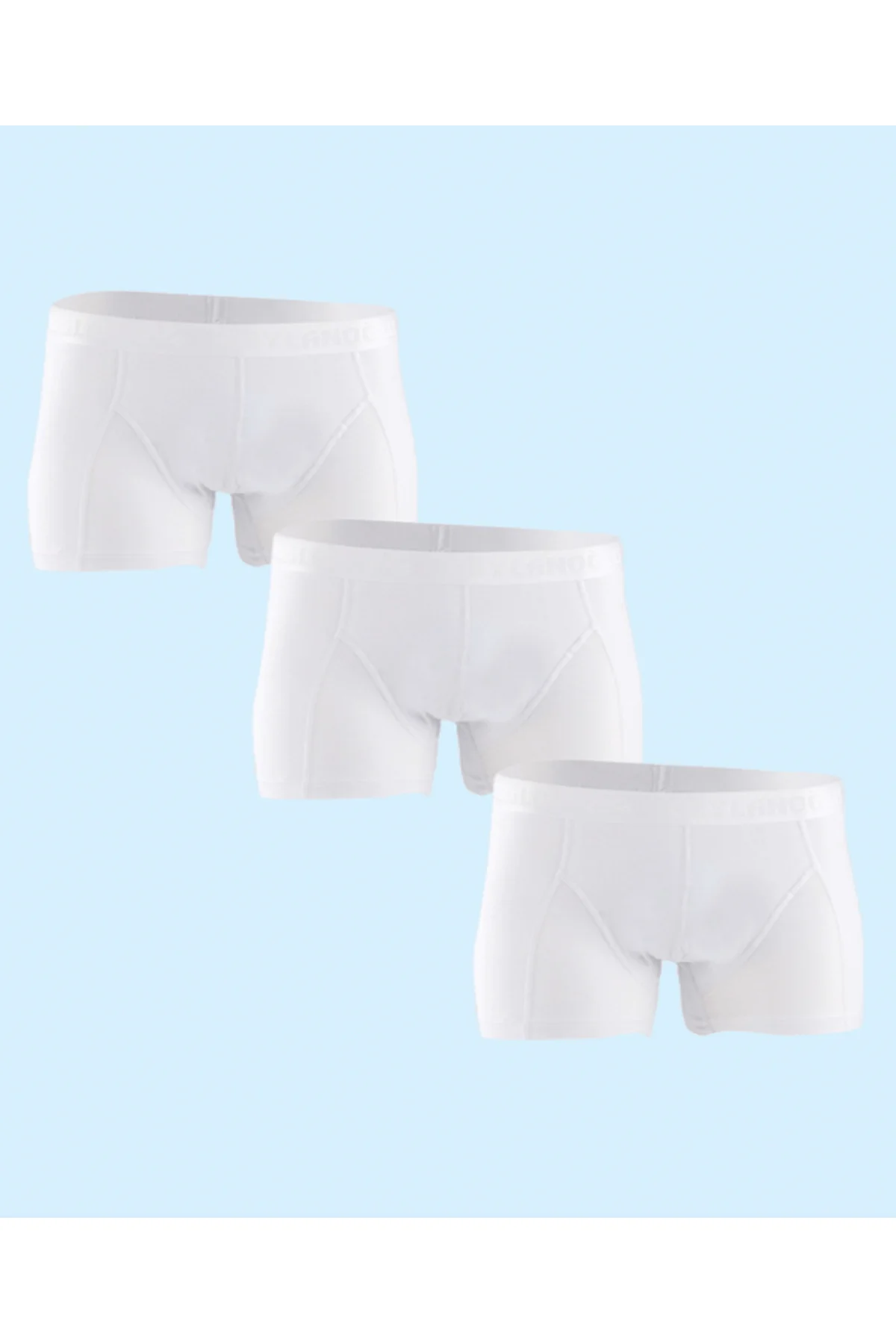 CEYLANOĞLU ERKEK LİKRA BOXER 3'LÜ EKO PAKET 034