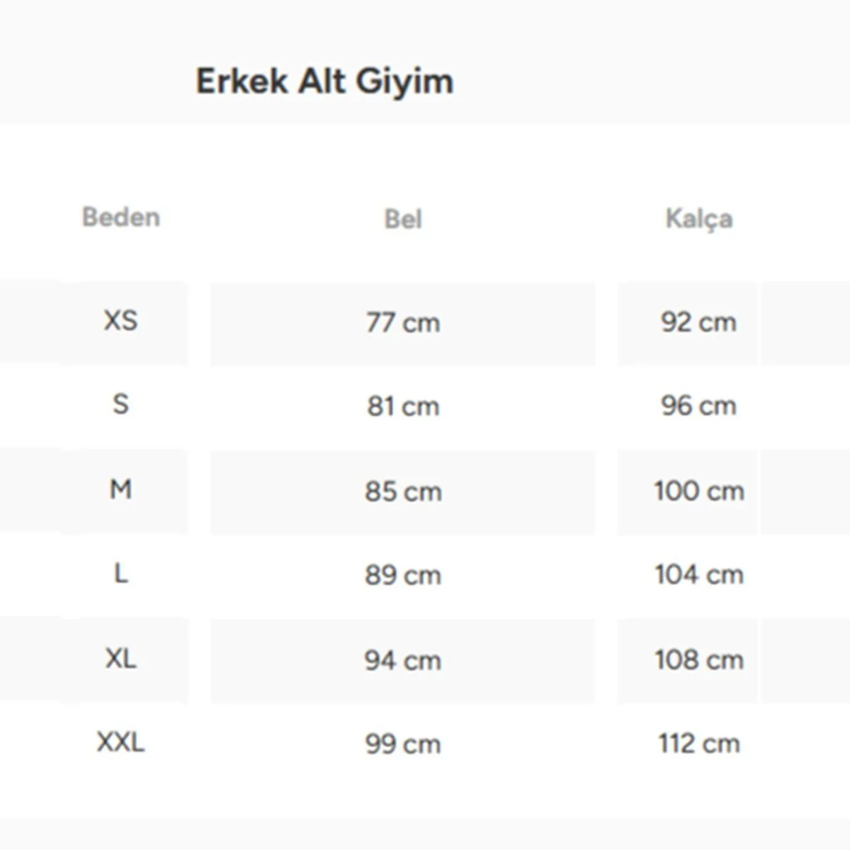 Champion Beach Shorts Erkek Su itici Mayo Şort Turkuaz Champion Beach Shorts Erkek Su itici Mayo Şort Turkuaz Fiyatı, Yorumları ve Özellikleri