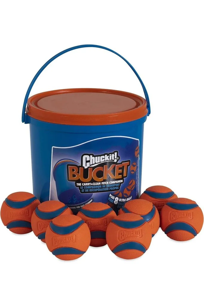 Chuckit! Bucket Dayanıklı Köpek Oyun Topu 8 Adet