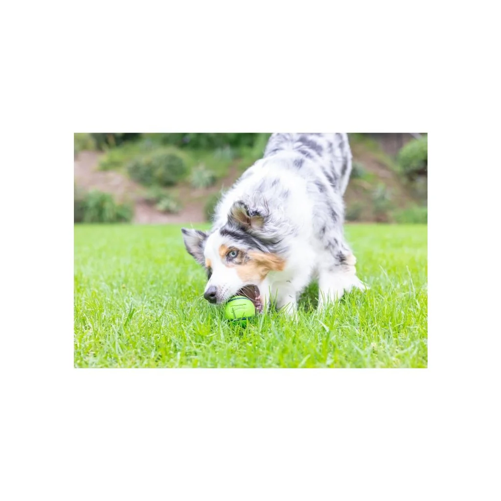 Chuckit! Sniff Fetch Fıstık Ezmesi Kokulu Köpek Oyun Topu (Orta B