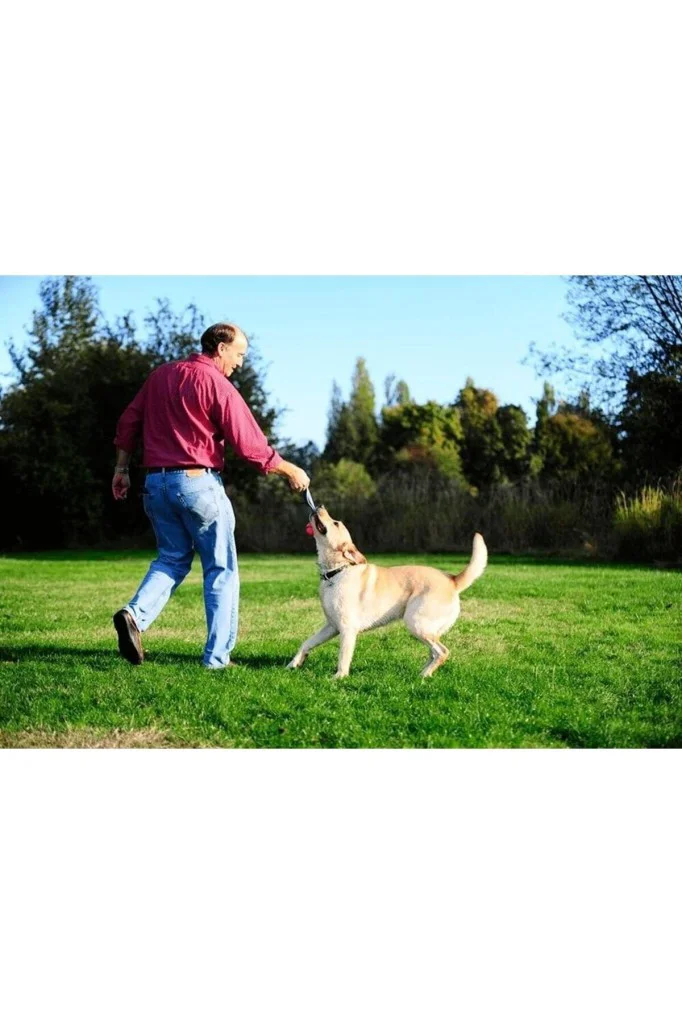 Chuckit! Ultra Tug Köpek Çekiştirme Topu (Orta Boy) Chuckit! Ultra Tug Köpek Çekiştirme Topu (Orta Boy)