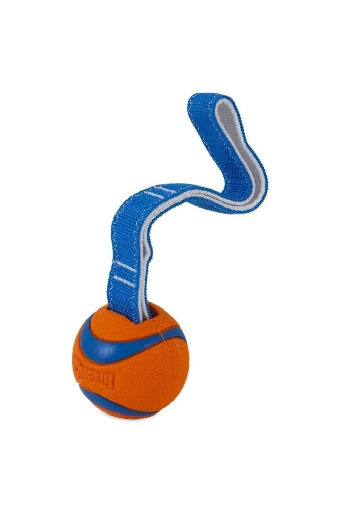 Chuckit! Ultra Tug Köpek Çekiştirme Topu (Orta Boy) Chuckit! Ultra Tug Köpek Çekiştirme Topu (Orta Boy)