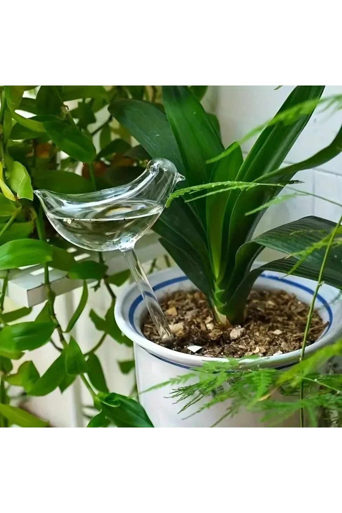 Çiçek & Bitkilere Kuşlu Damla Sulama Hazneli Küre 2li