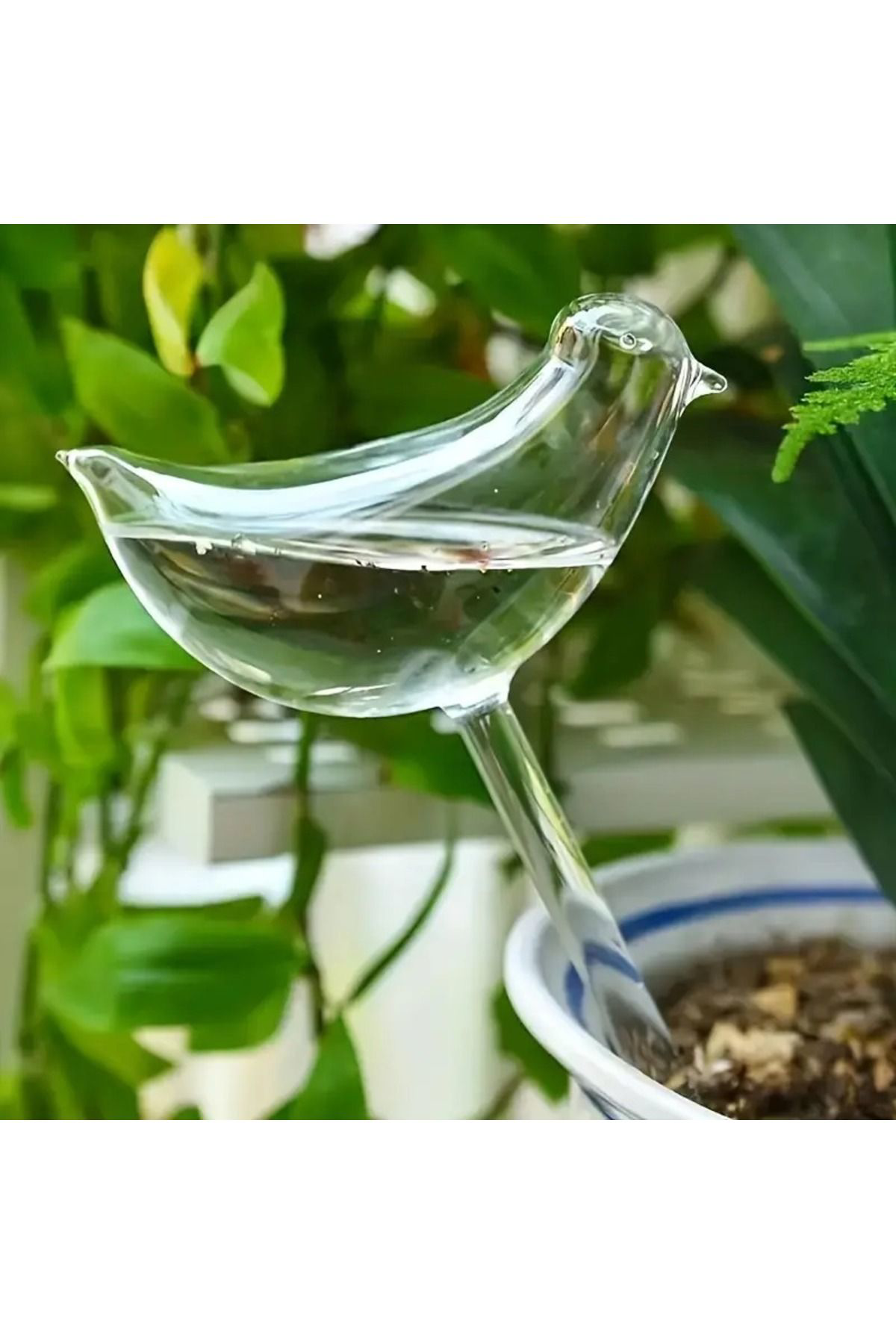 Çiçek & Bitkilere Kuşlu Damla Sulama Hazneli Küre 2li