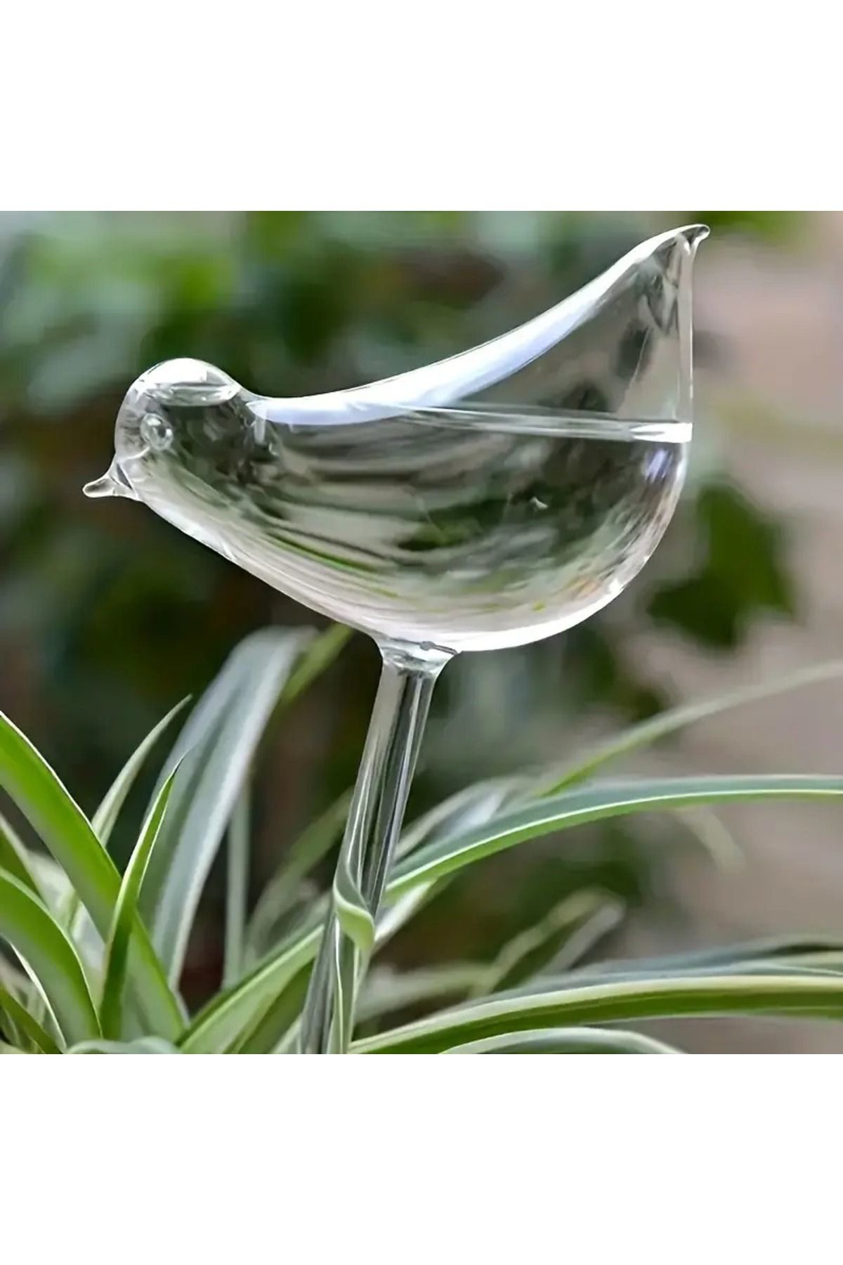 Çiçek & Bitkilere Kuşlu Damla Sulama Hazneli Küre 2li