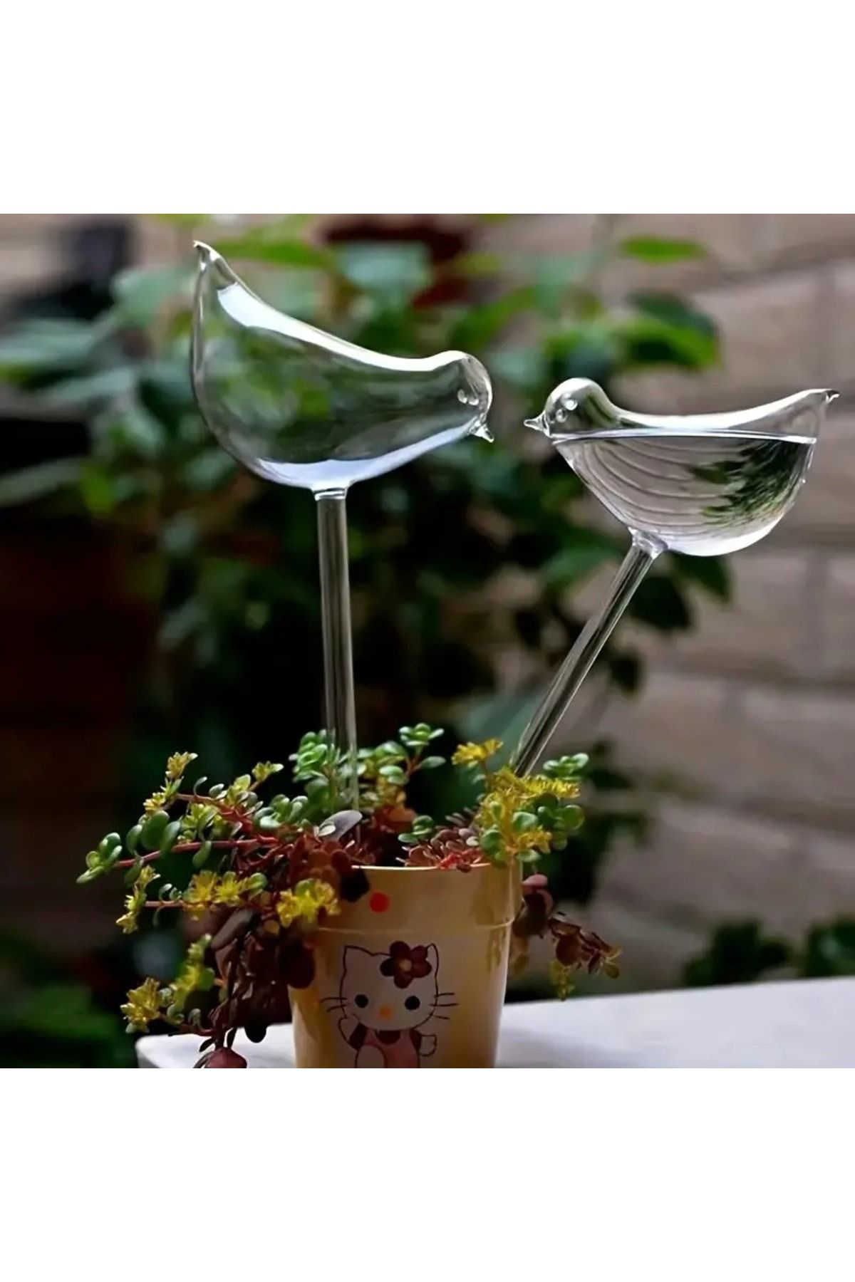 Çiçek & Bitkilere Kuşlu Damla Sulama Hazneli Küre 2li