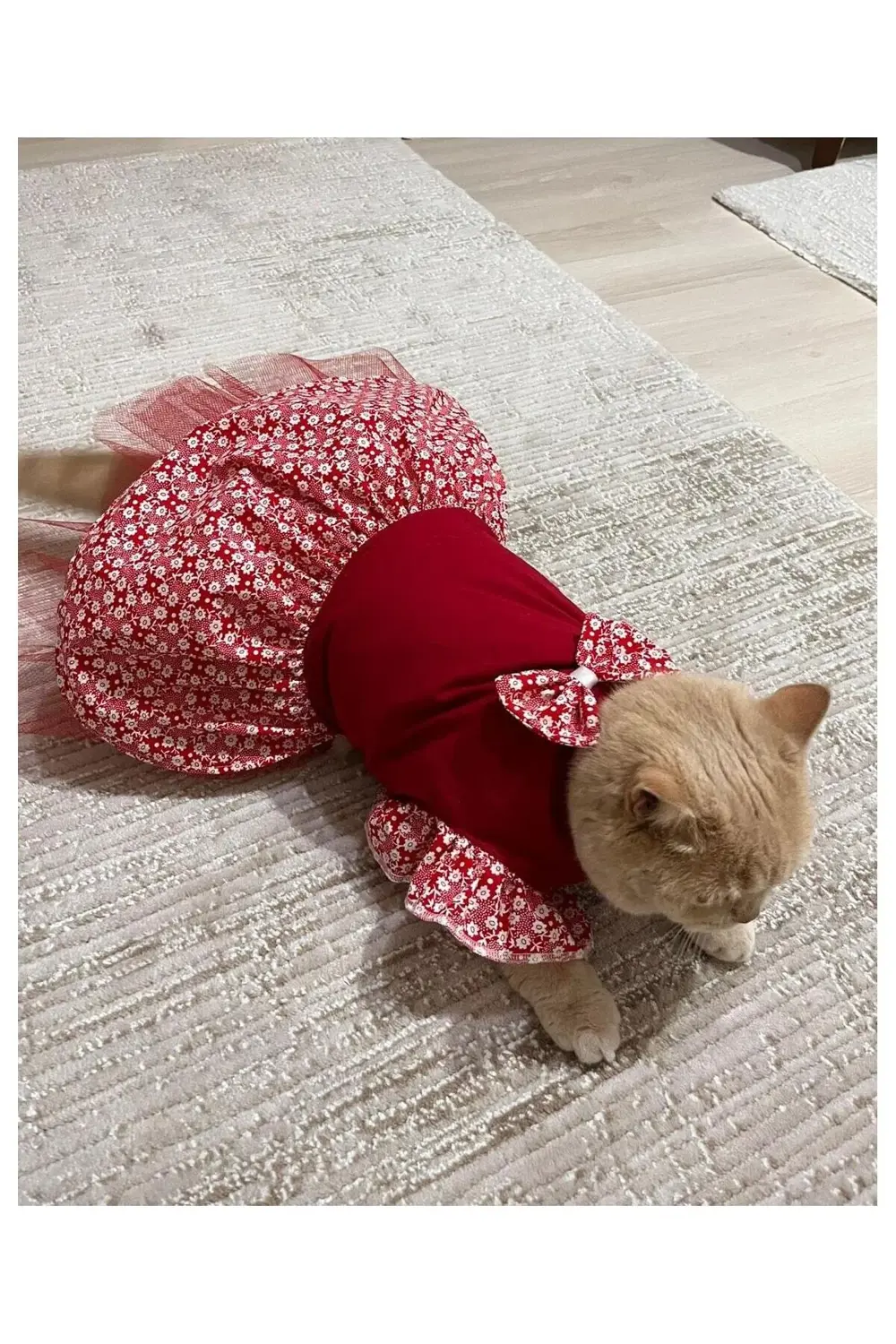 Çiçek Desenli Papyonlu Kırmızı Kedi Köpek Kıyafeti Elbisesi