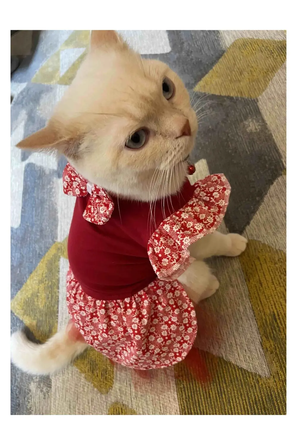 Çiçek Desenli Papyonlu Kırmızı Kedi Köpek Kıyafeti Elbisesi