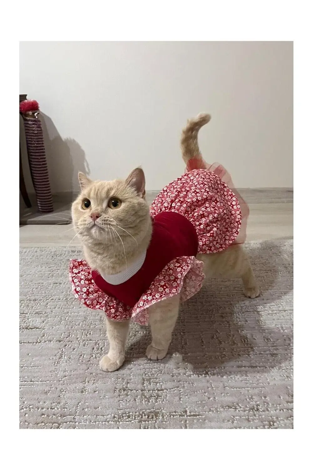 Çiçek Desenli Papyonlu Kırmızı Kedi Köpek Kıyafeti Elbisesi Small