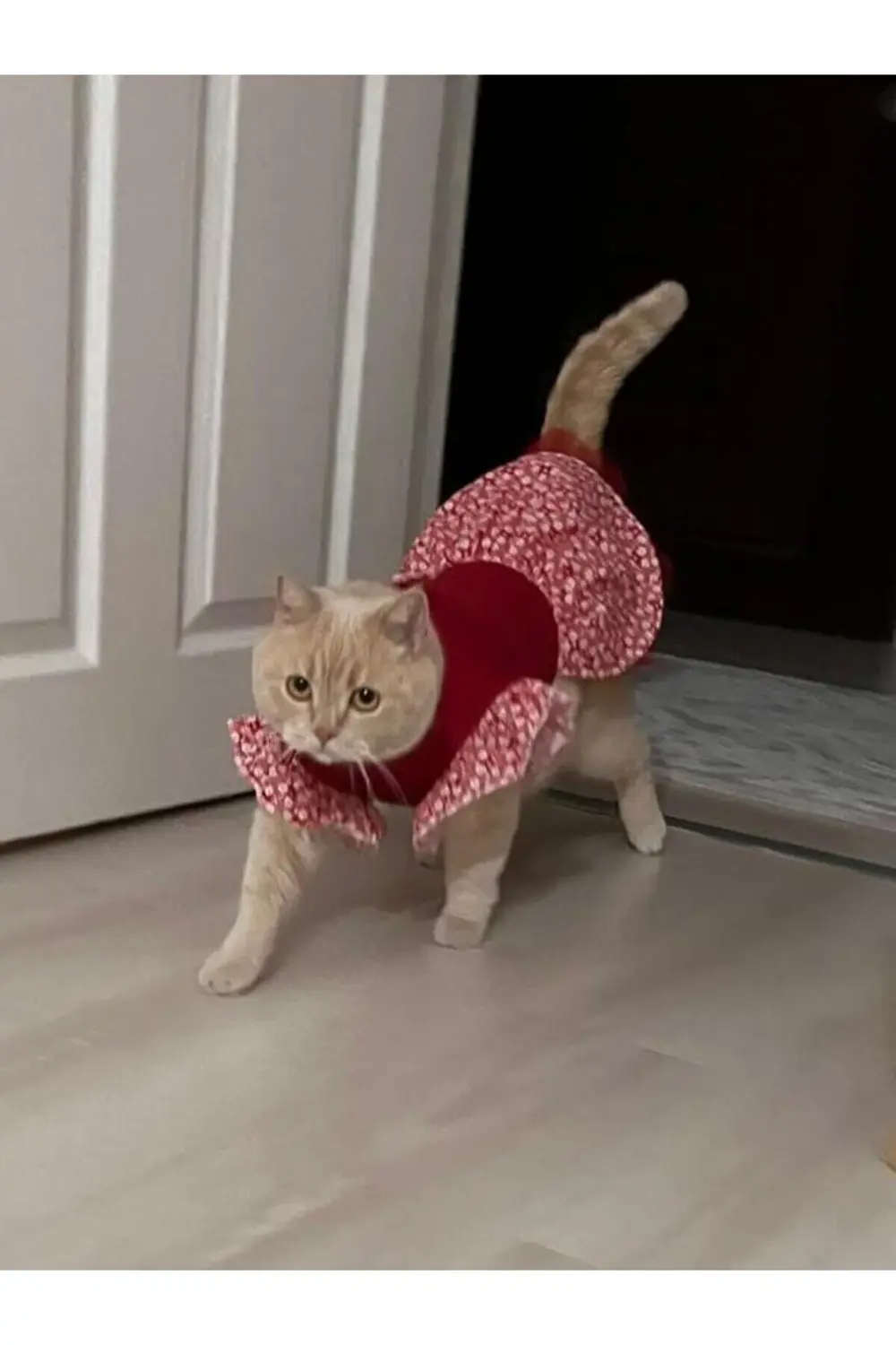 Çiçek Desenli Papyonlu Kırmızı Kedi Köpek Kıyafeti Elbisesi Small