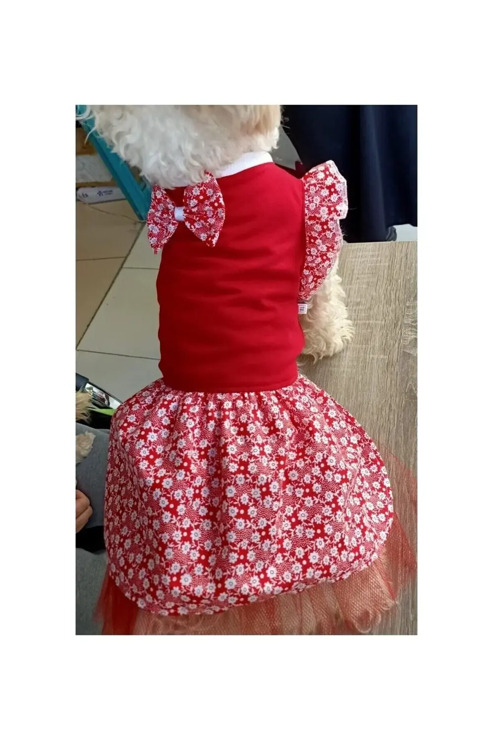 Çiçek Desenli Papyonlu Kırmızı Kedi Köpek Kıyafeti Elbisesi